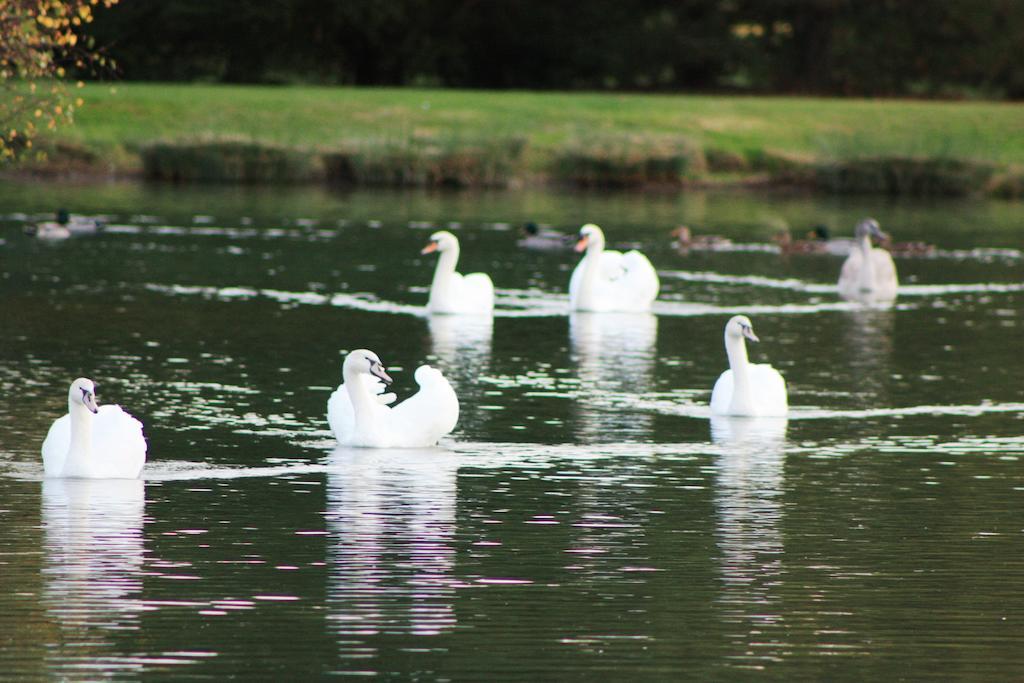 Domaine De La Guignardiere Viévy-le-Rayé Bagian luar foto